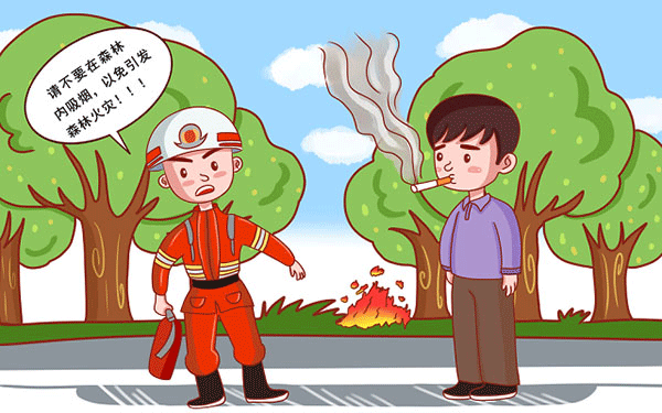 什么时候报名参加单招 什么时候报名参加单招