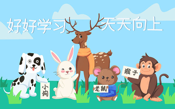 张弛为什么不是211 张弛为什么不是211